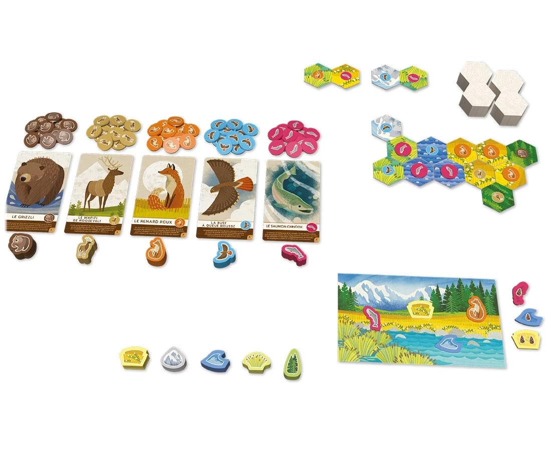 Cascadia Junior – Image 2