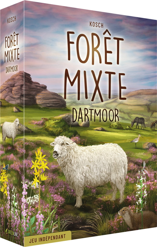Forêt Mixte : Dartmoo