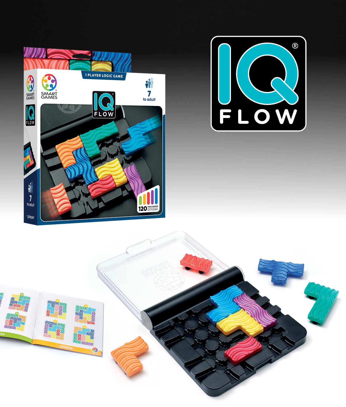 IQ Flow – Image 2